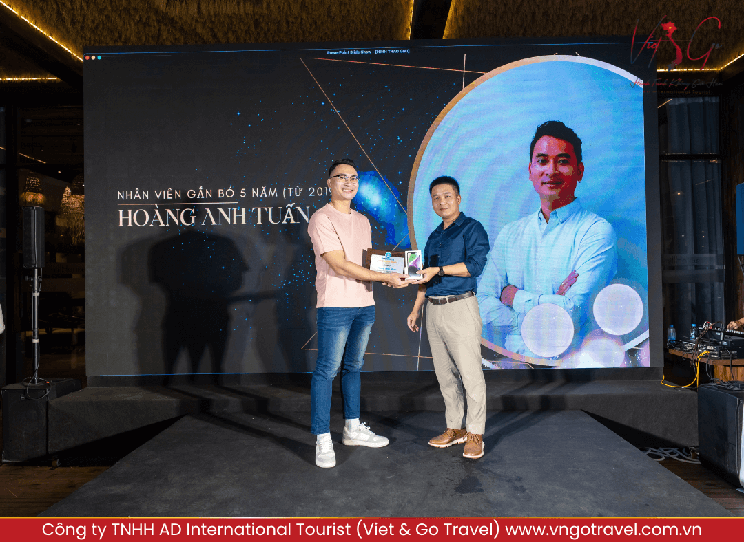 Hoạt động tôn vinh 